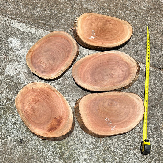 Live edge African Mahogany rounds 17”x11”x1.5”