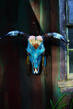 “Savannah” Hand painted Bull Skull - Blue & Gold