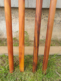 O'o traditional Hawaiian digging tool.