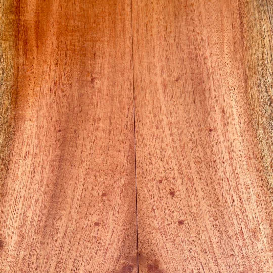 Cuban Mahogany Concert Ukulele 4 pc set