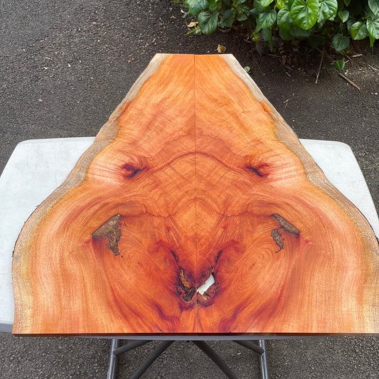 Cuban Mahogany Electric Guitar Drop Top 2@31 1/4”x4-12.5”x12mm