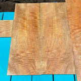 Premium Curly Mango 4 piece Parlor Guitar set