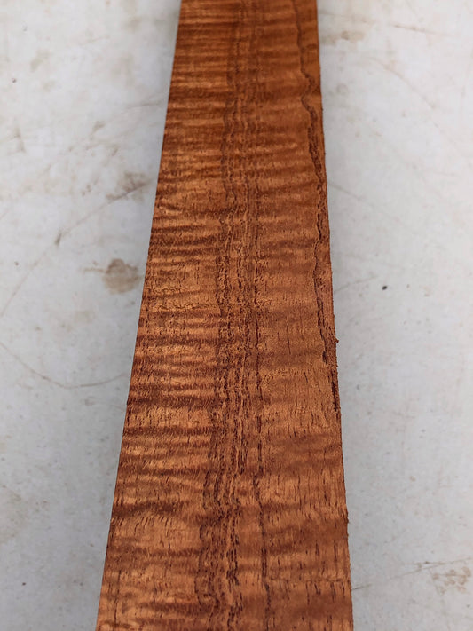 Ultra curly pride of India spindle/pool cue turning blank 24”x7/4”x1 7/8”