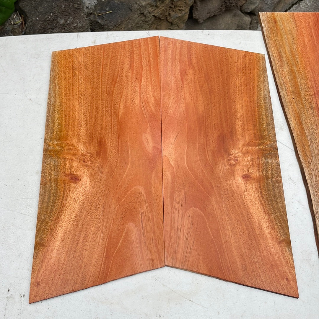 Cuban Mahogany Concert Ukulele 4 pc set