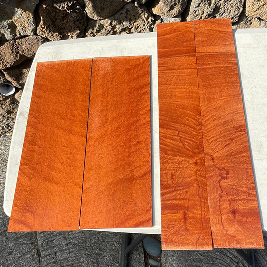 Sapele Tenor Ukulele 4pc set