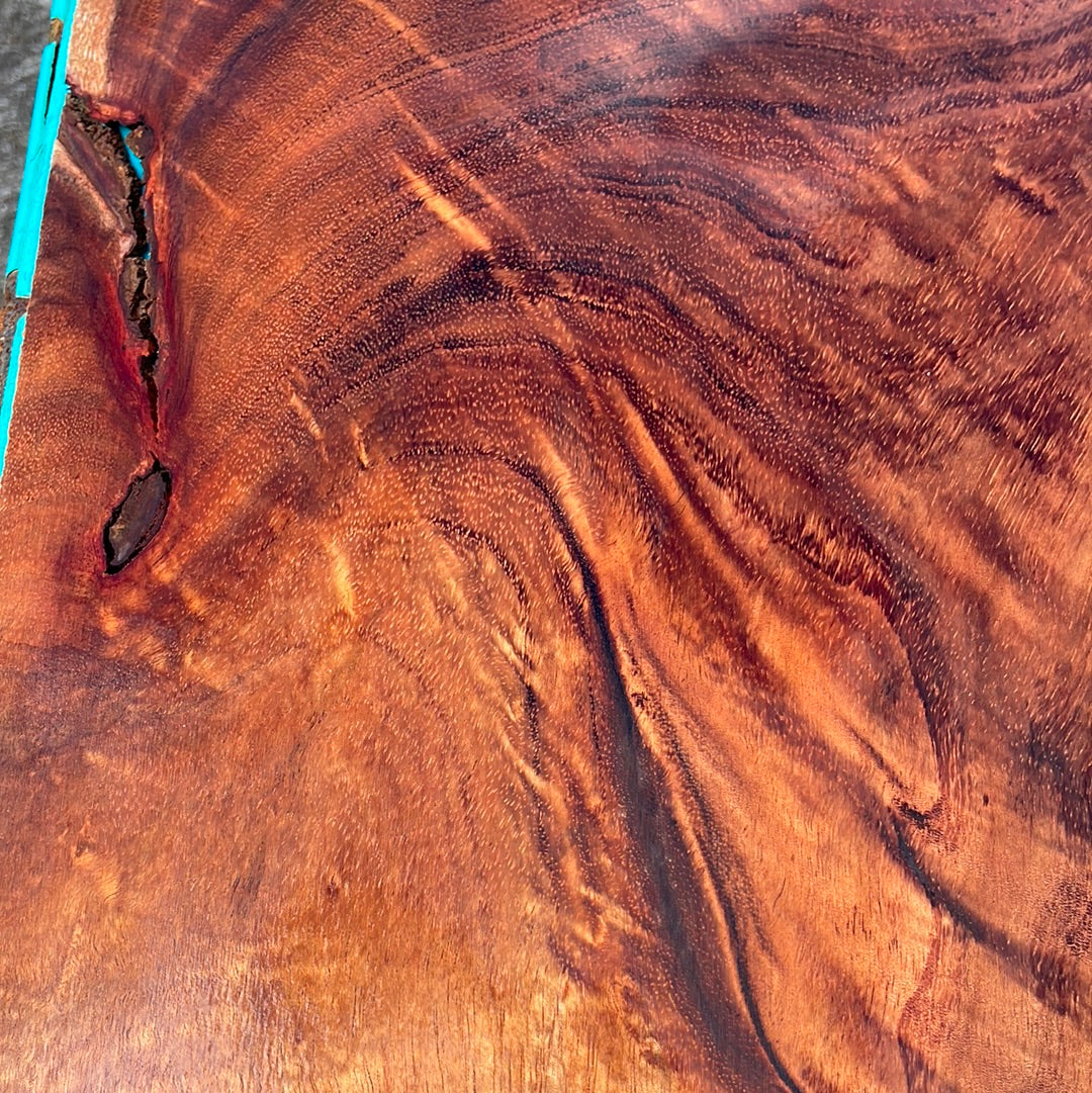 Curly Koa Electric Guitar Top
