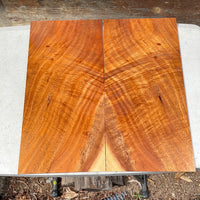 Premium Koa Parlor Guitar Top