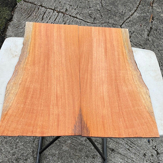 Hawaiian Grown True Mahogany Electric Guitar Top