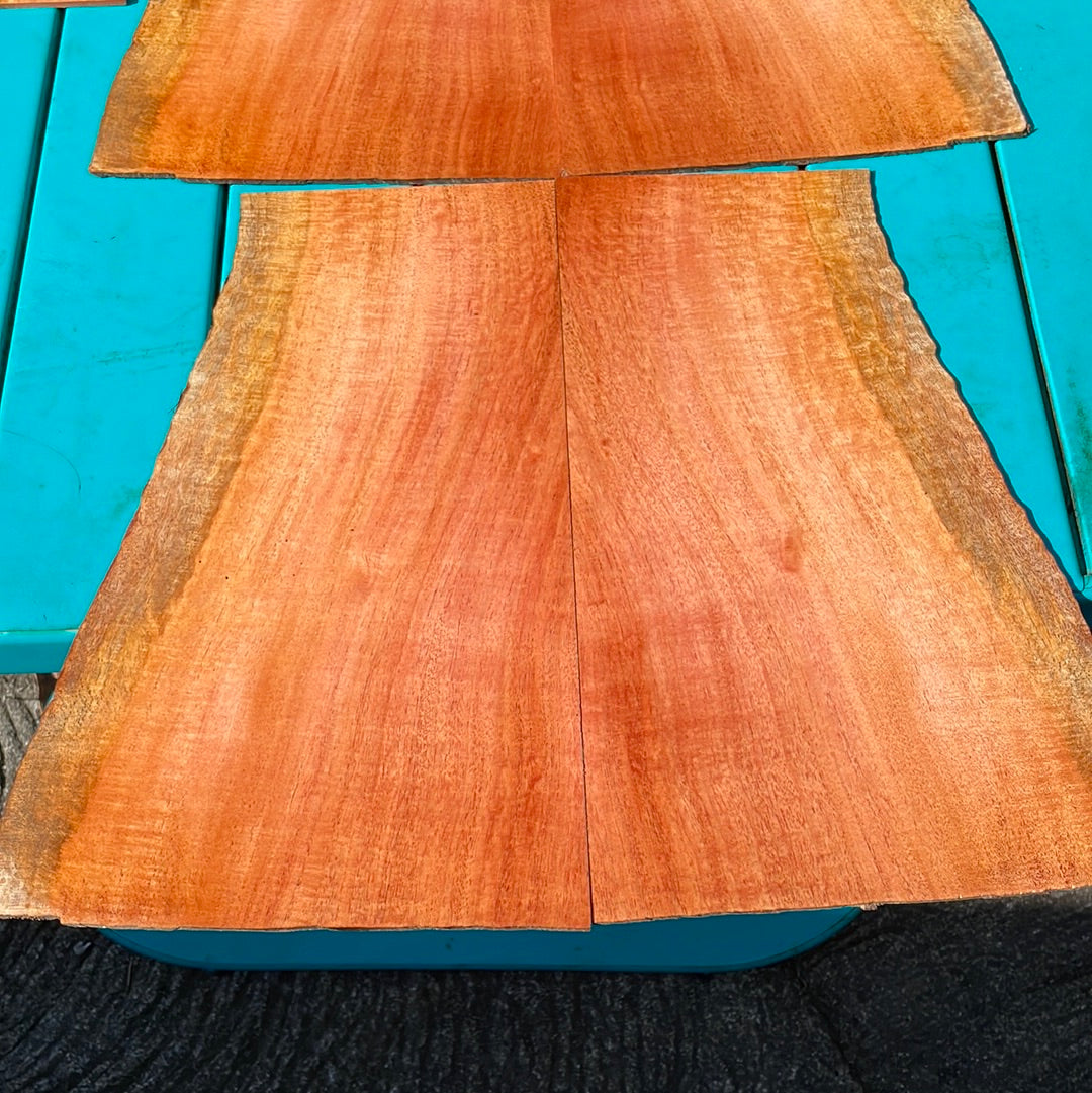 Curly Cuban Mahogany Tenor 6 pc Ukulele Set
