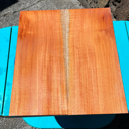Cuban Mahogany Electric Guitar Top