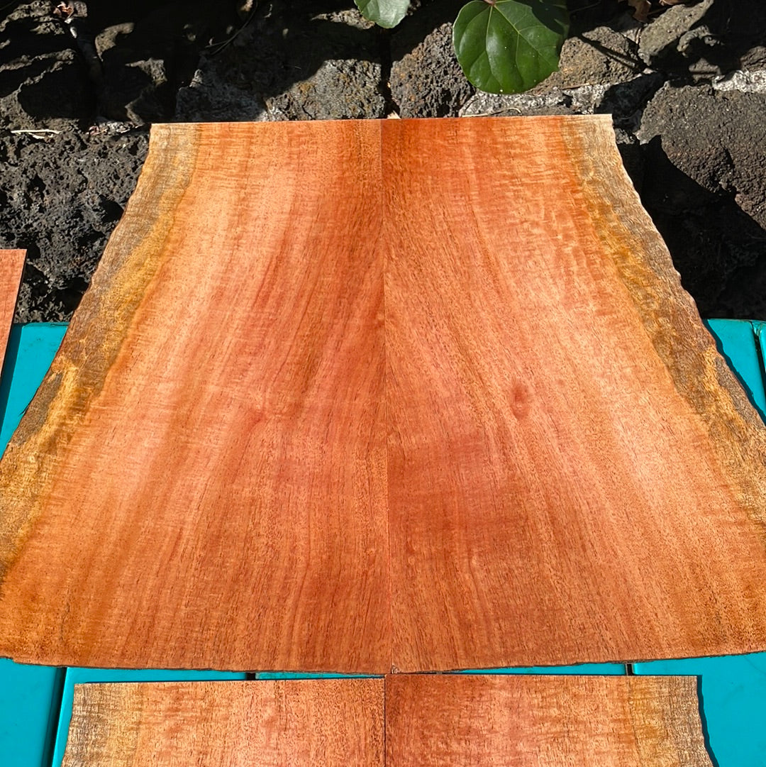 Curly Cuban Mahogany Tenor 6 pc Ukulele Set