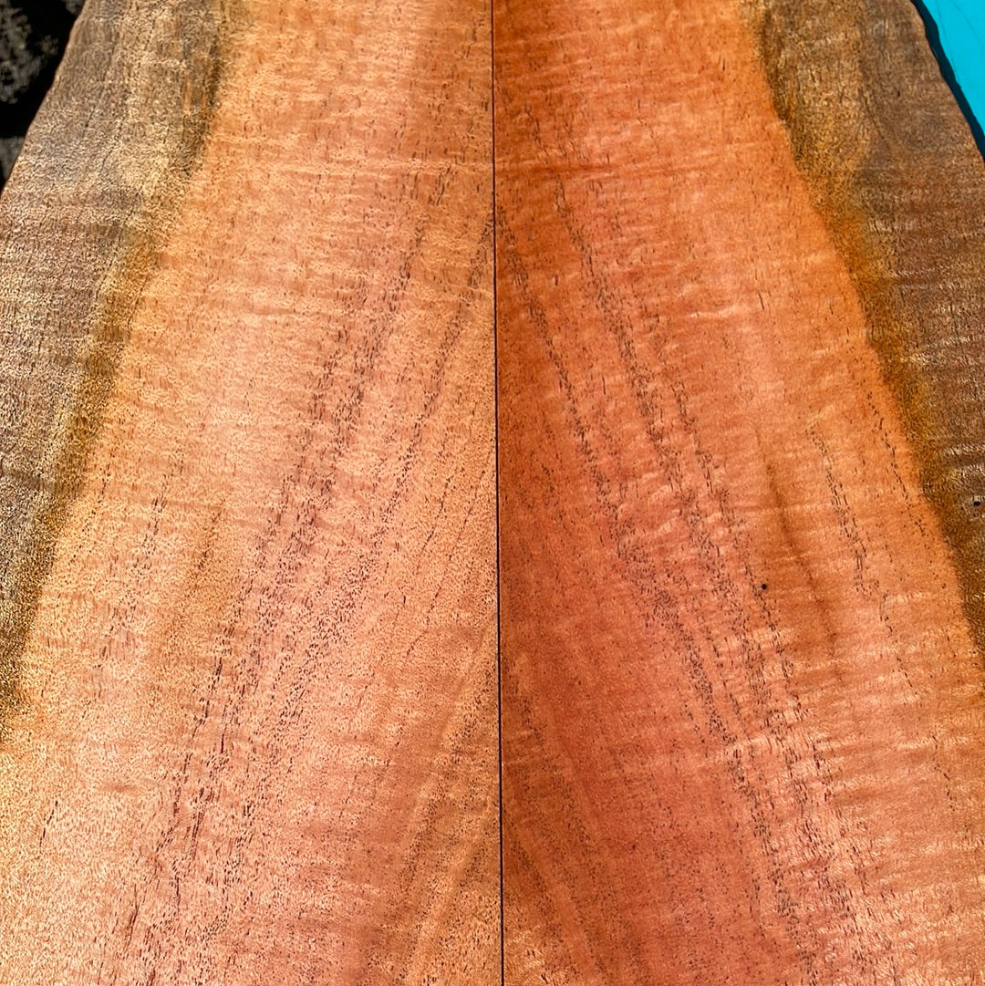Curly Cuban Mahogany Tenor 6 pc Ukulele Set