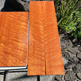 Curly Sapele Jumbo Guitar set 4pc