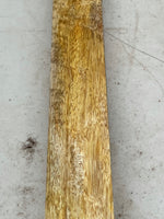 Reclaimed Mango pool cue turning blank 24”x2”x1 7/8”