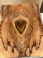 Spalted Curly Mango Electric Top 2@24”x8 3/4”x1/2”