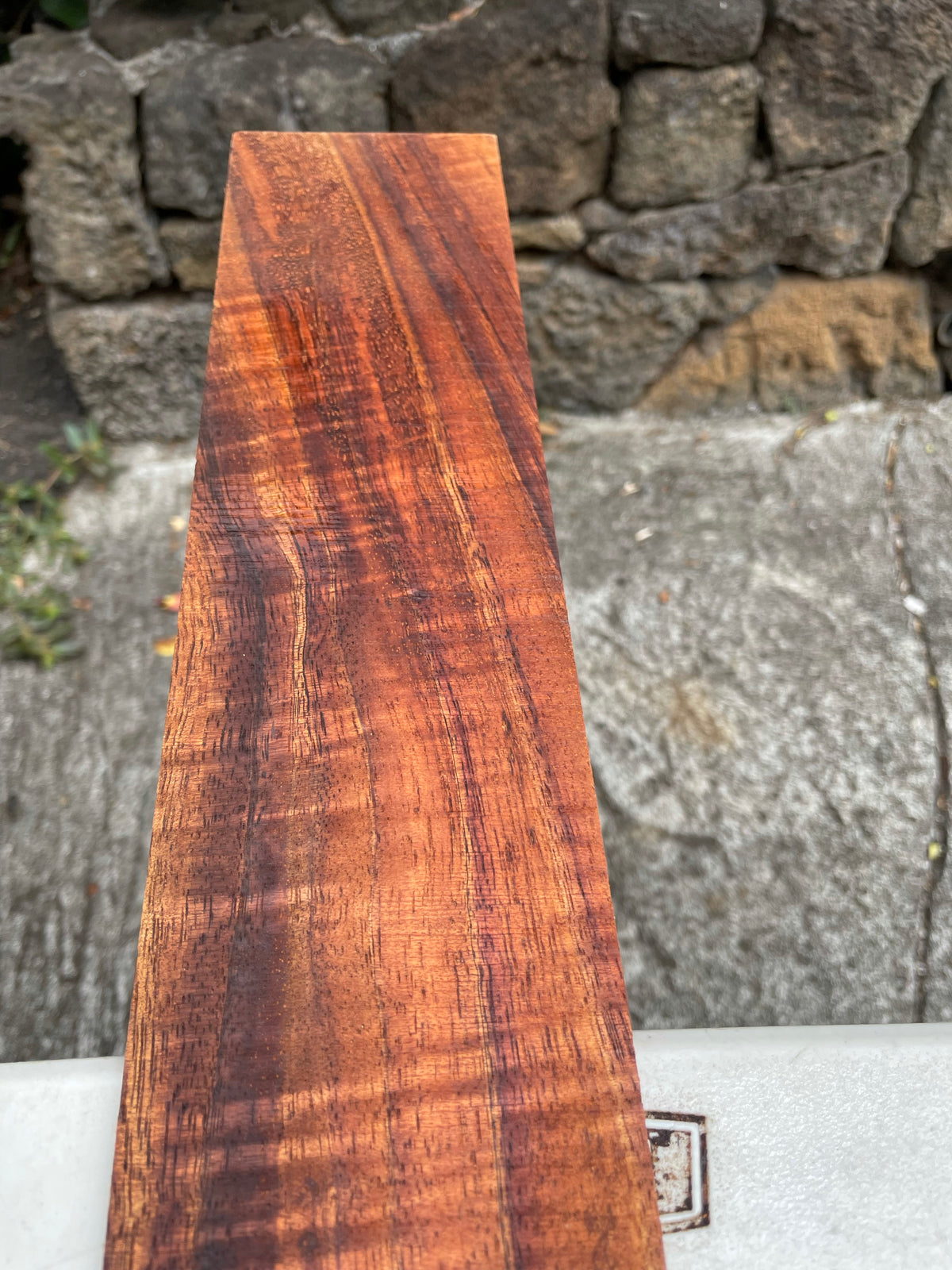 5A Curly Koa Instrument Binding 34 3/4”x3 1/4”x5mm