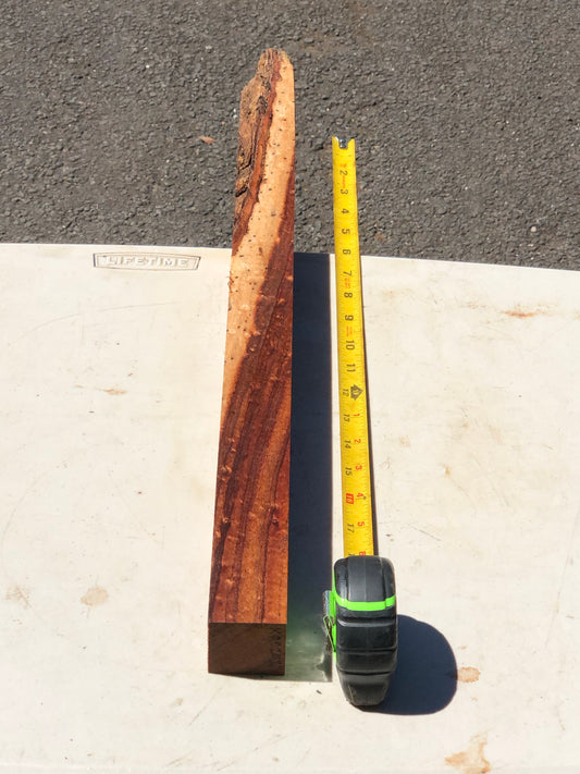 5A turning spindle ambrosia koa 24”x7/4”x1 5/8
