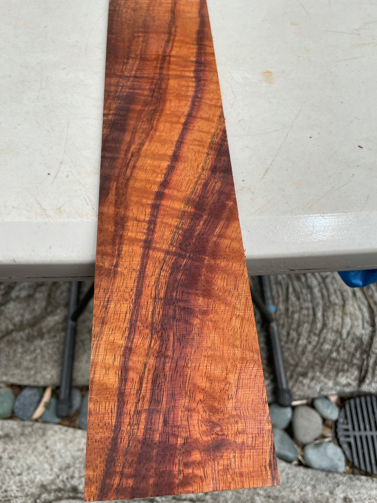 5A Curly Koa Instrument Binding 34 3/4”x3 1/4”x5mm