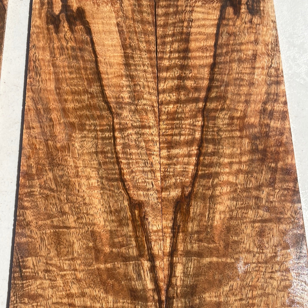 Premium Curly Spalted Mango Tenor Ukulele set (6 pcs)