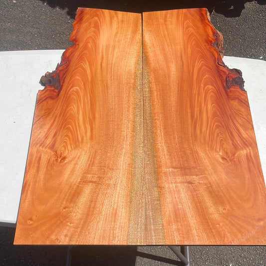 Cuban Mahogany Electric Guitar Drop Top 2@25-26”x6-9 3/4”x10mm