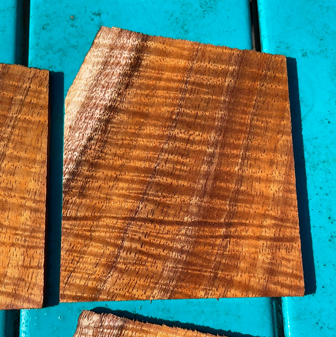 Curly Koa Instrument Grade Guitar/Ukulele Headplates