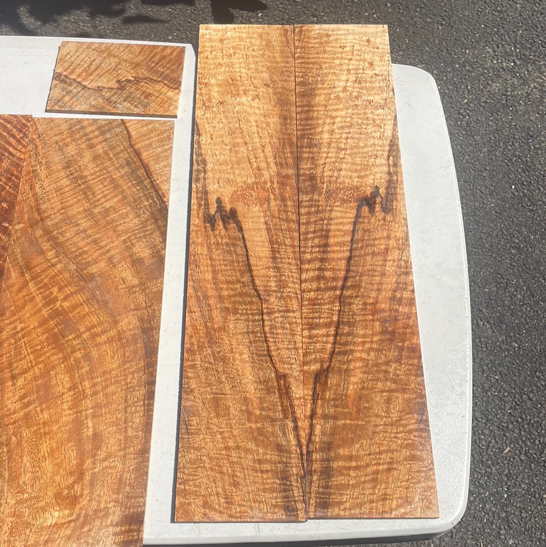 Premium Curly Spalted Mango Tenor Ukulele set (6 pcs)