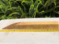 Ultra Curly Mango spindle/pool cue turning blank 14”x2”x1 7/8”