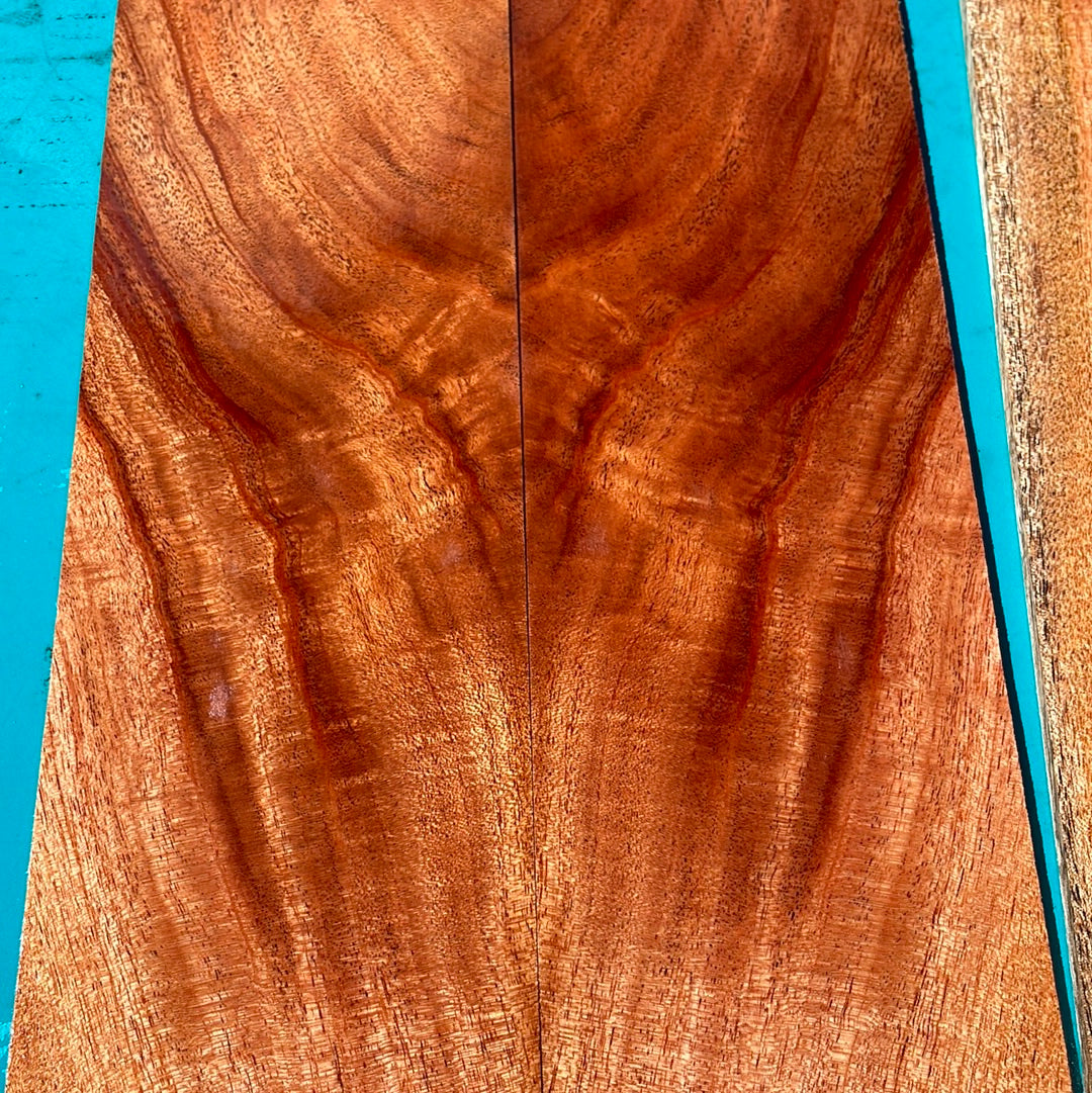 Curly True Mahogany Tenor Ukulele 4pm set