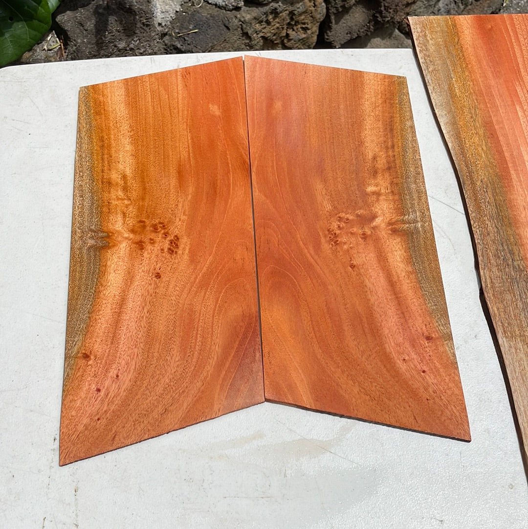Cuban Mahogany Concert Ukulele 4 pc set