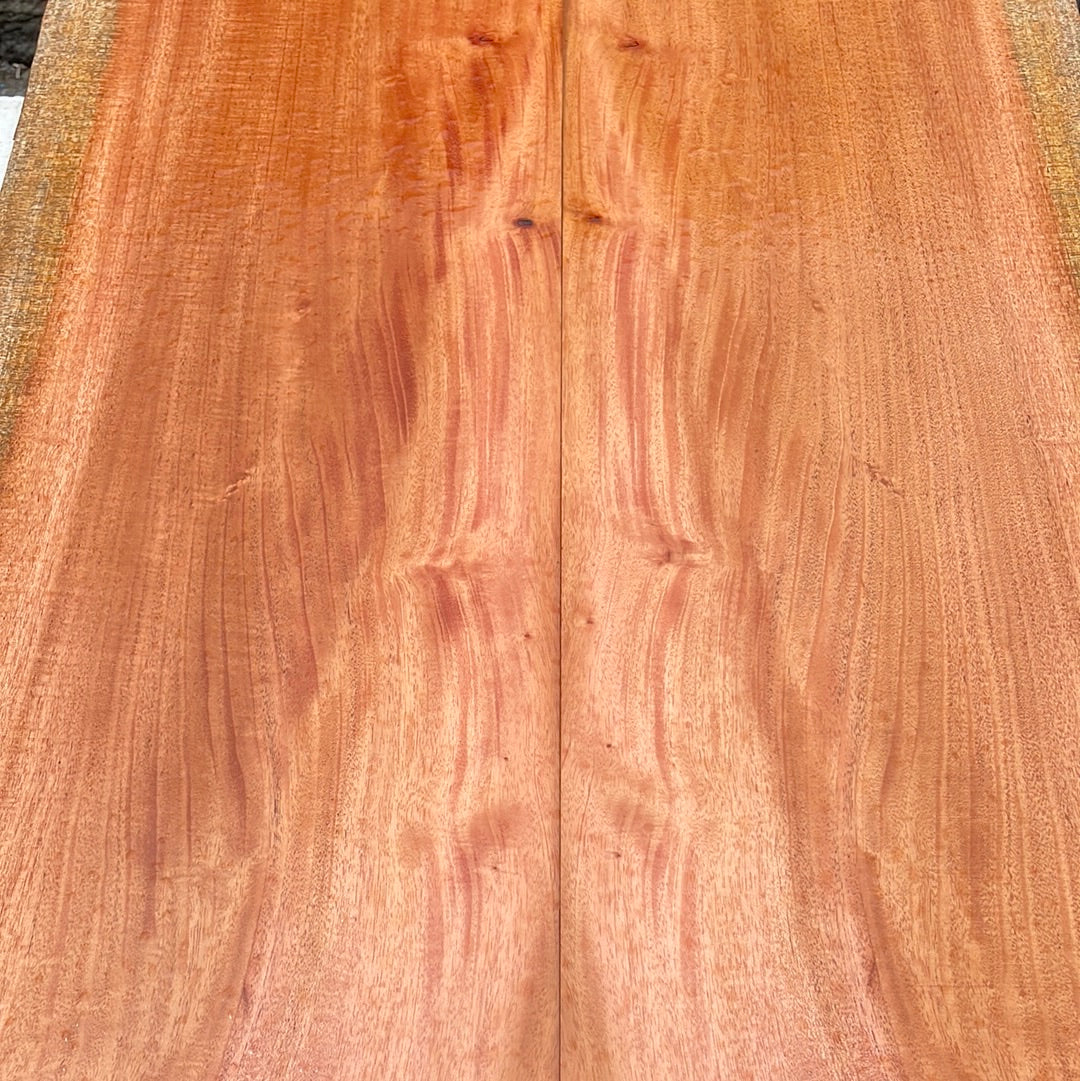 Cuban Mahogany Electric Guitar Top 2 pc