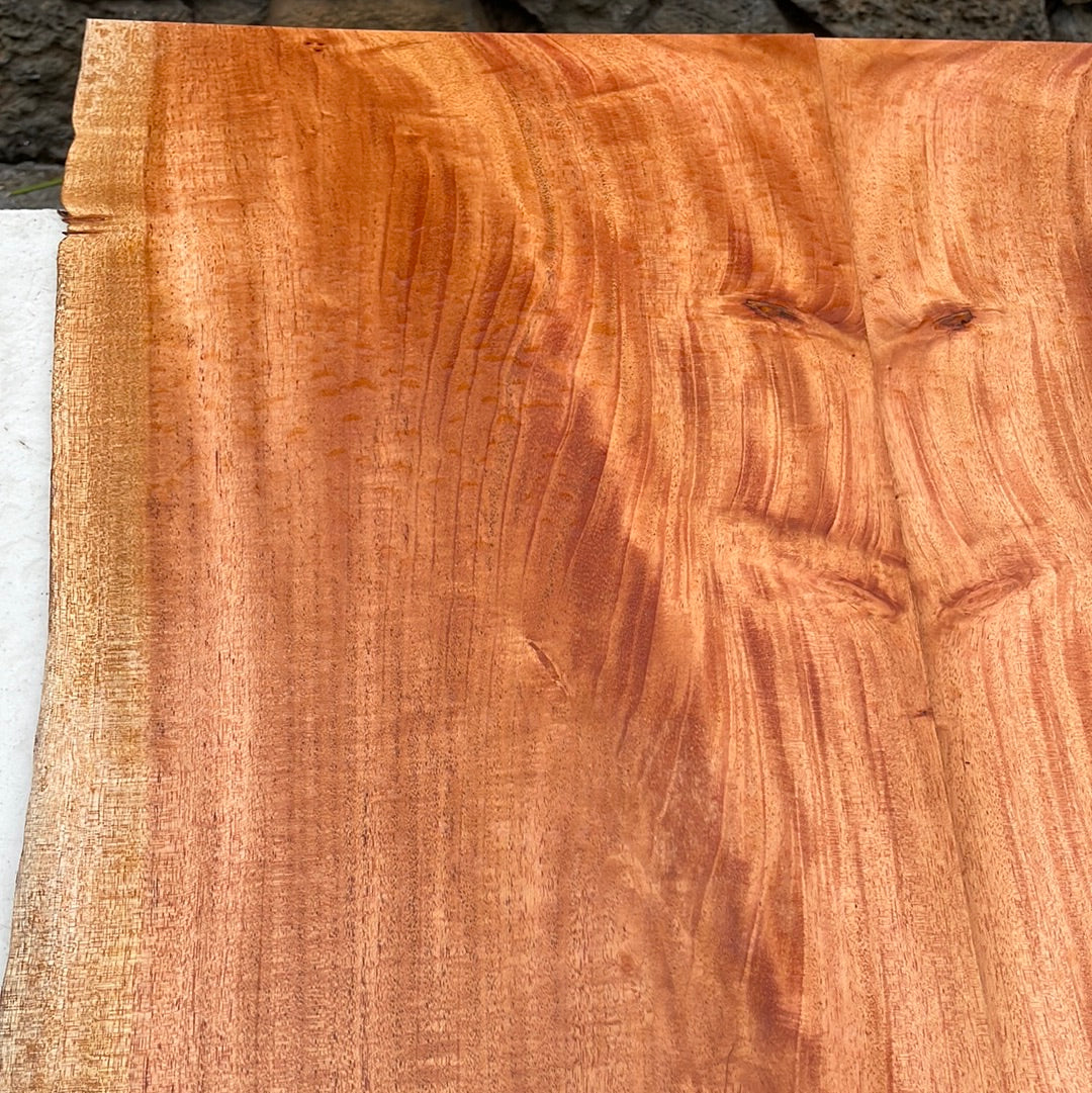 Cuban Mahogany Electric Guitar Top 2 pc