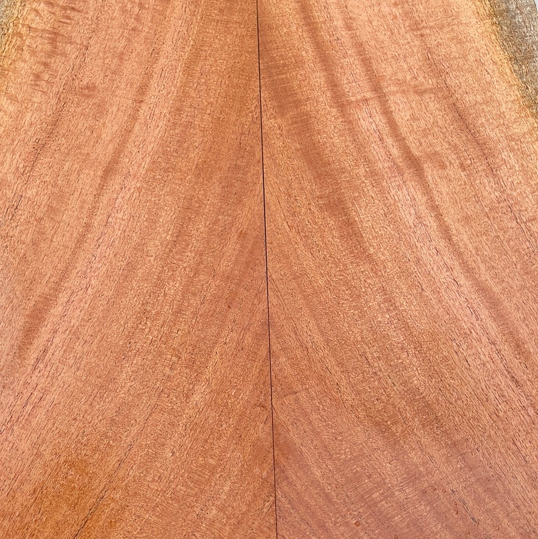 Curly Cuban Mahogany Tenor Ukulele 4pc