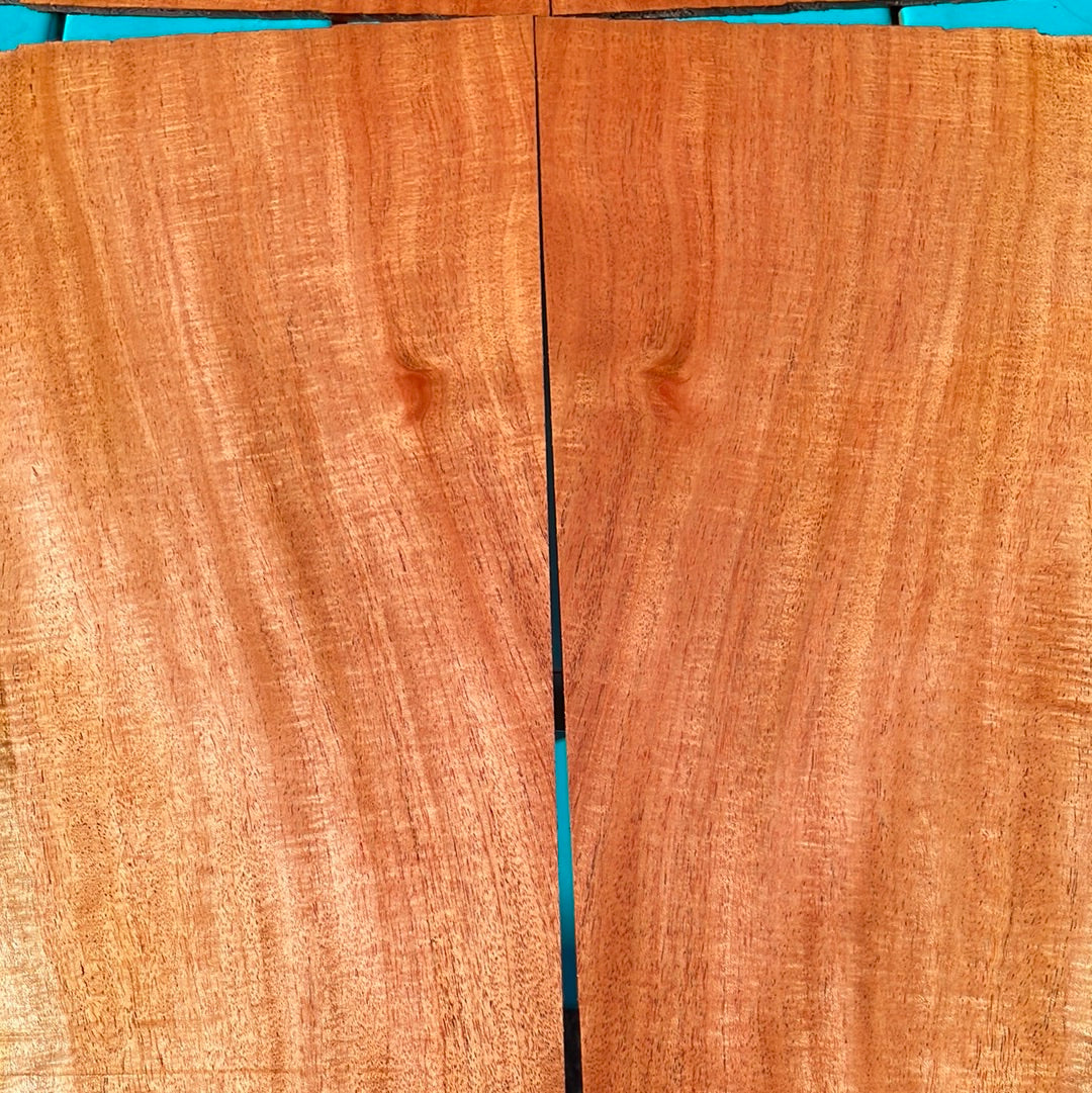 Curly Cuban Mahogany Tenor 6 pc Ukulele Set