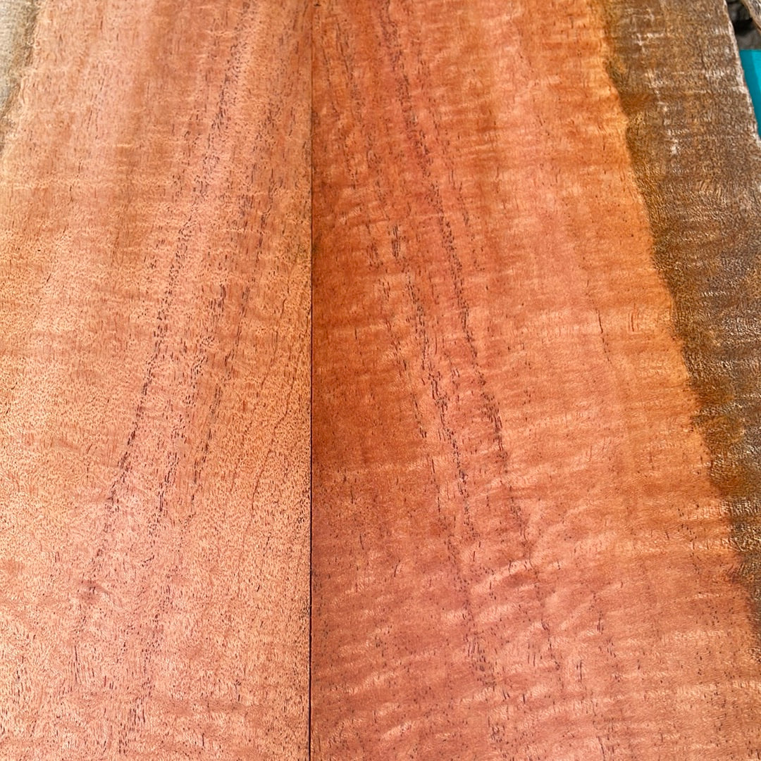 Curly Cuban Mahogany Tenor Ukulele 6pc