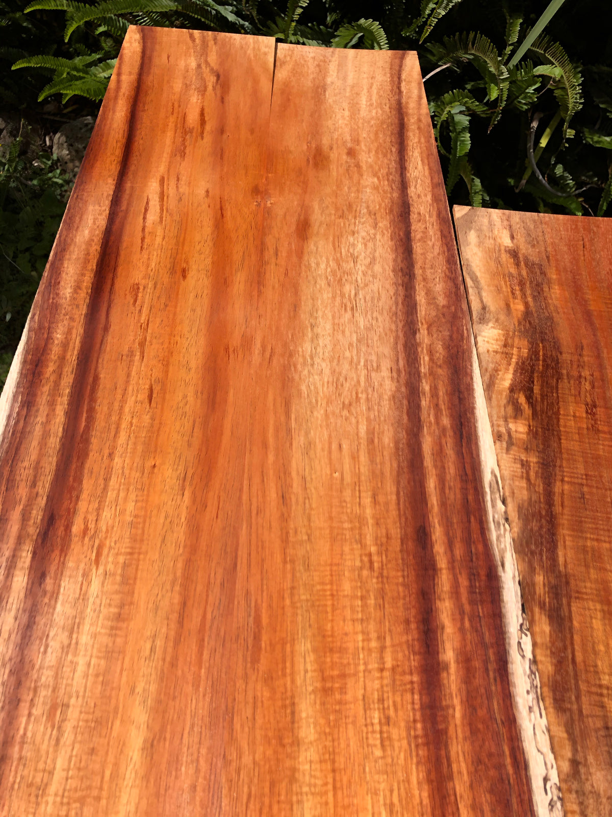 2A Koa Jumbo Guitar Set 4 pieces
