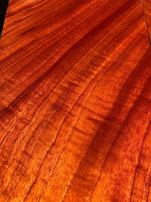 Figured Toon Spanish Cedar Jumbo Western Guitar Set 4 pieces