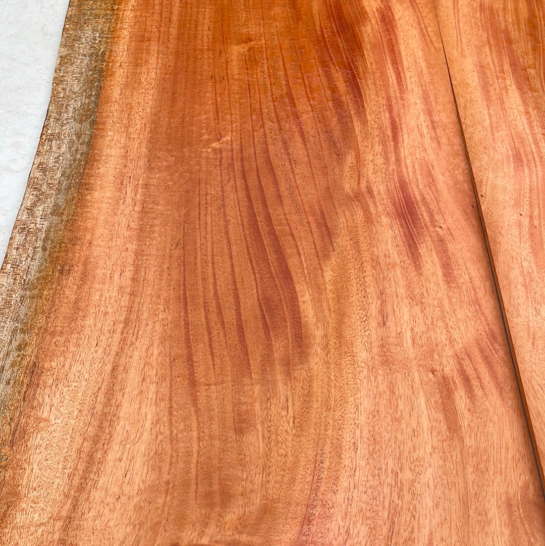 Cuban Mahogany Electric Guitar Top 2 pc