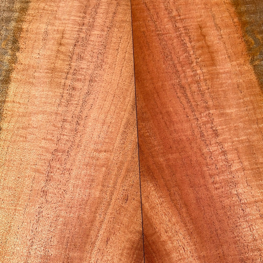Curly Cuban Mahogany Tenor 6 pc Ukulele Set