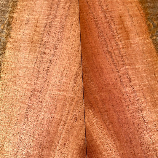 Curly Cuban Mahogany Tenor 6 pc Ukulele Set