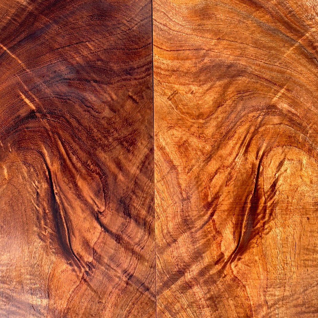 Curly Koa Electric Guitar Top