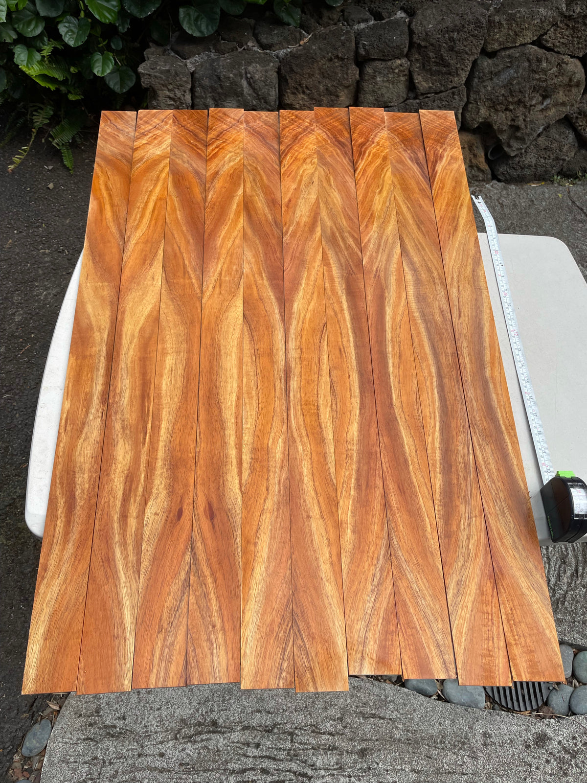 3A Curly Koa Ukulele/Instrument Bindings 36”x2 1/4”x4mm