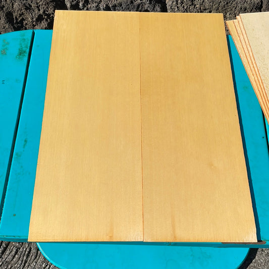 Alaskan Cedar C1/OOO Classical Guitar 2pc set
