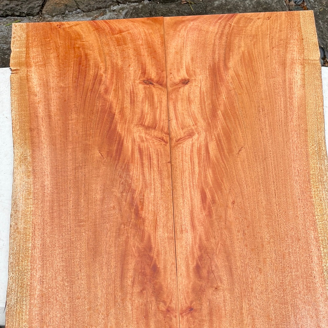 Cuban Mahogany Electric Guitar Top 2 pc