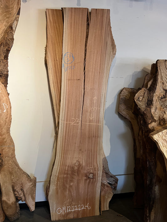 Queensland Maple Slab 107”x23”x9/4”
