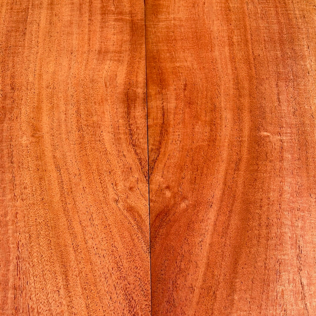 Curly Cuban Mahogany Tenor 6 pc Ukulele Set