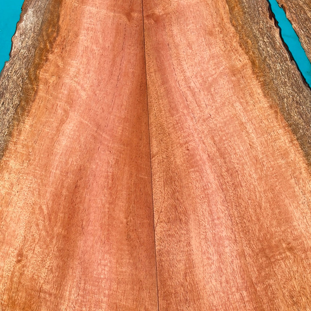 Cuban Mahogany 6pc Tenor Ukulele