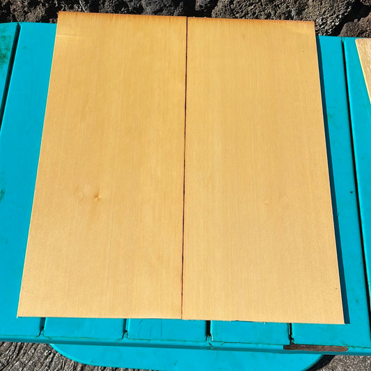Alaskan Cedar C1/OOO Classical Guitar 2pc set