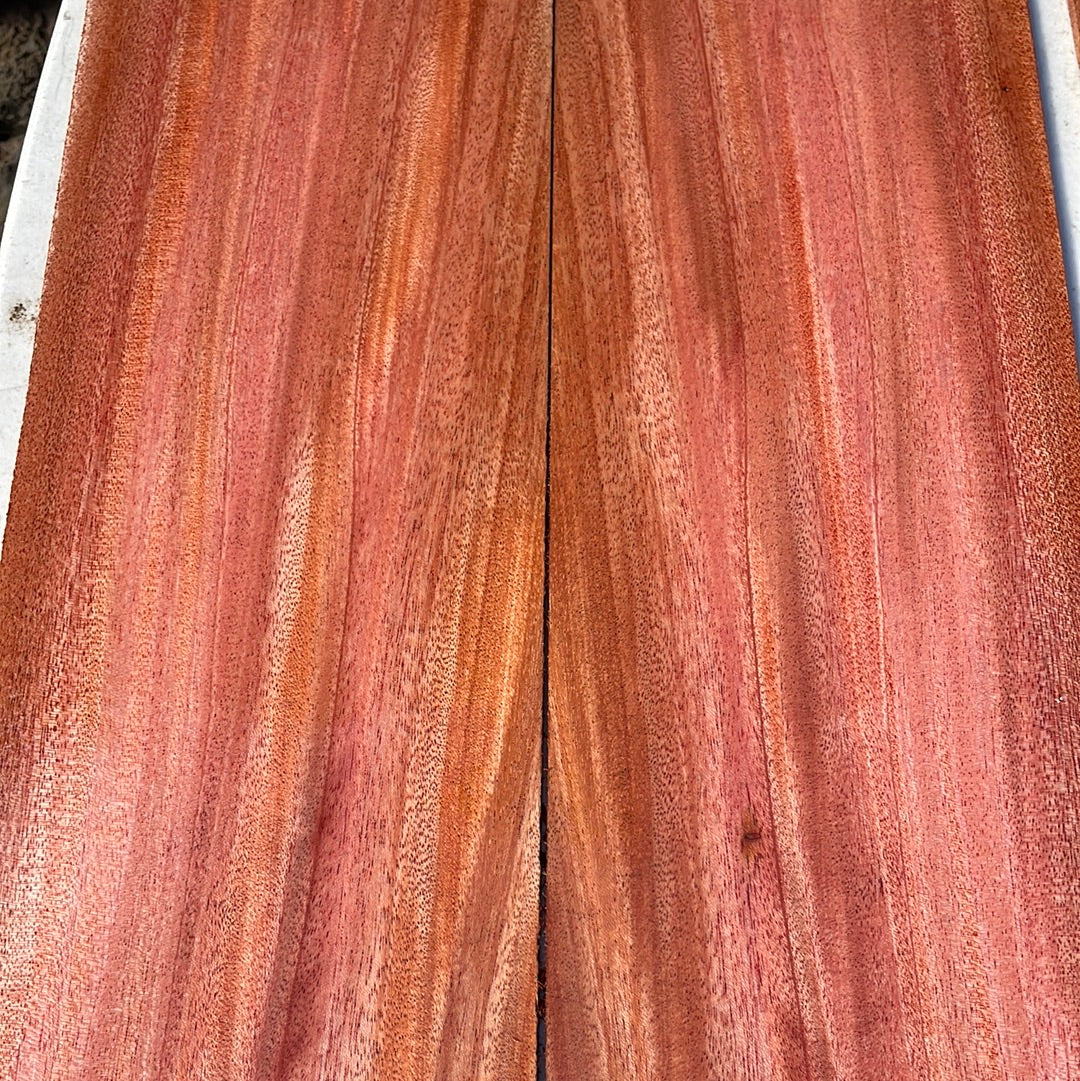 African Mahogany 4pc Tenor Ukulele set
