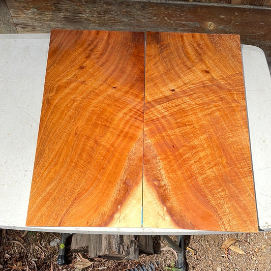 Premium Koa Parlor Guitar Top