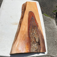 Live Edge Cuban Mahogany board 24”x6-11.5”x2”